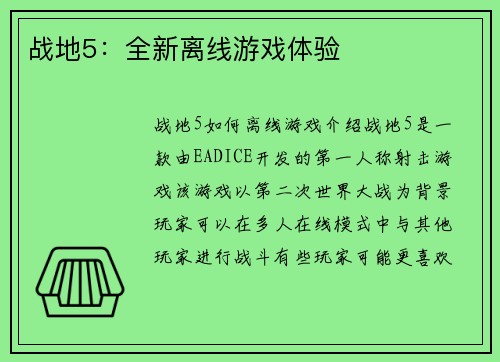 战地5：全新离线游戏体验